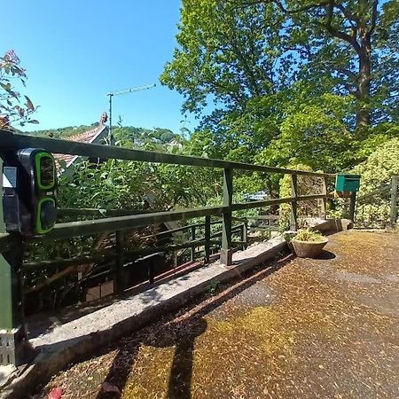 Treetop Cottage At Countisbury Lodge Lynmouth Extérieur photo