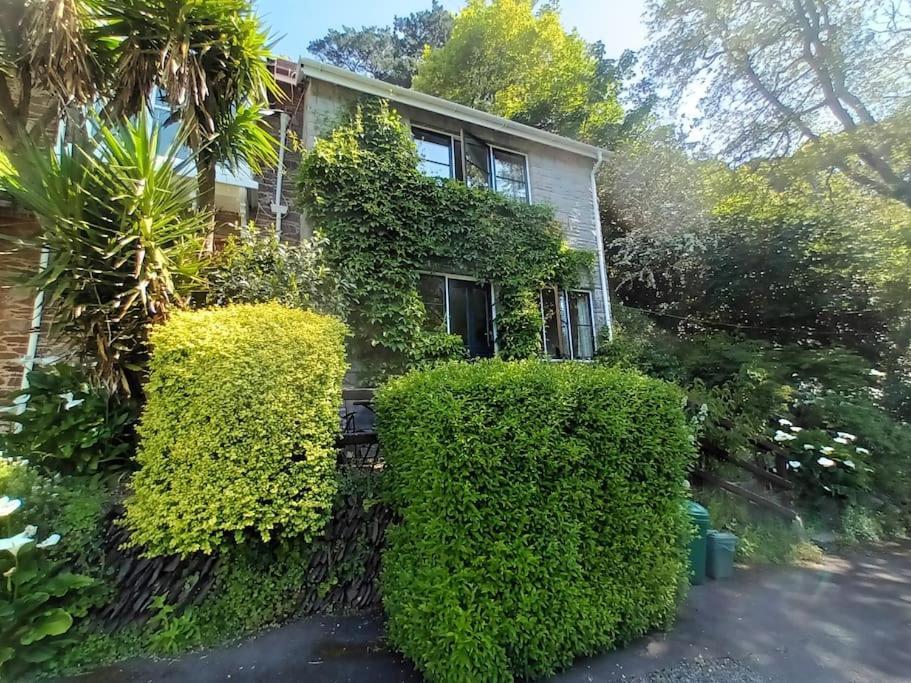 Treetop Cottage At Countisbury Lodge Lynmouth Extérieur photo